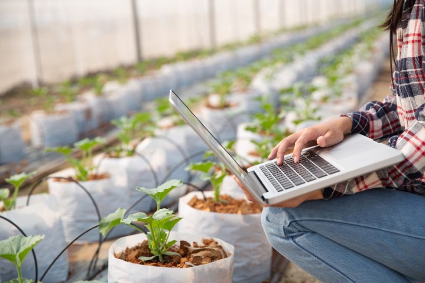 How Greenhouse Management Software Turns Operational Data Into Margin-Building Decisions